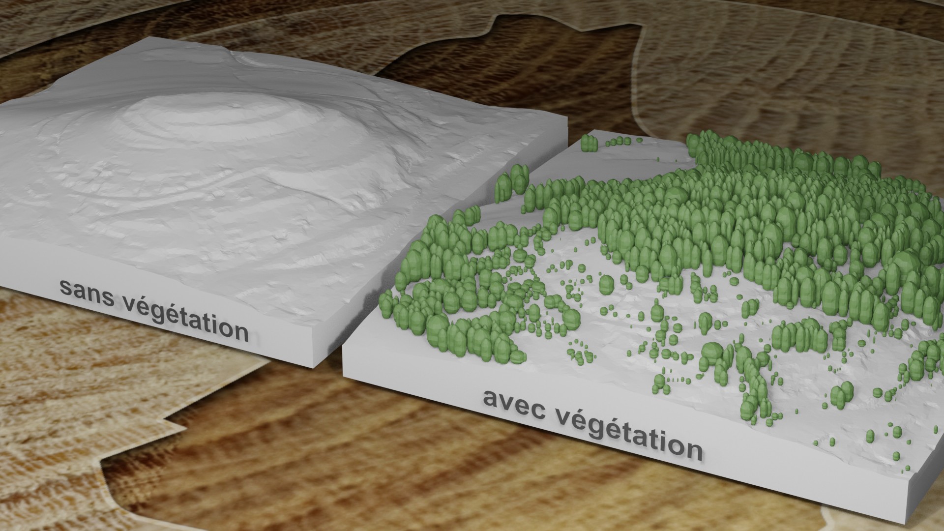 Image d'exemple introuvable