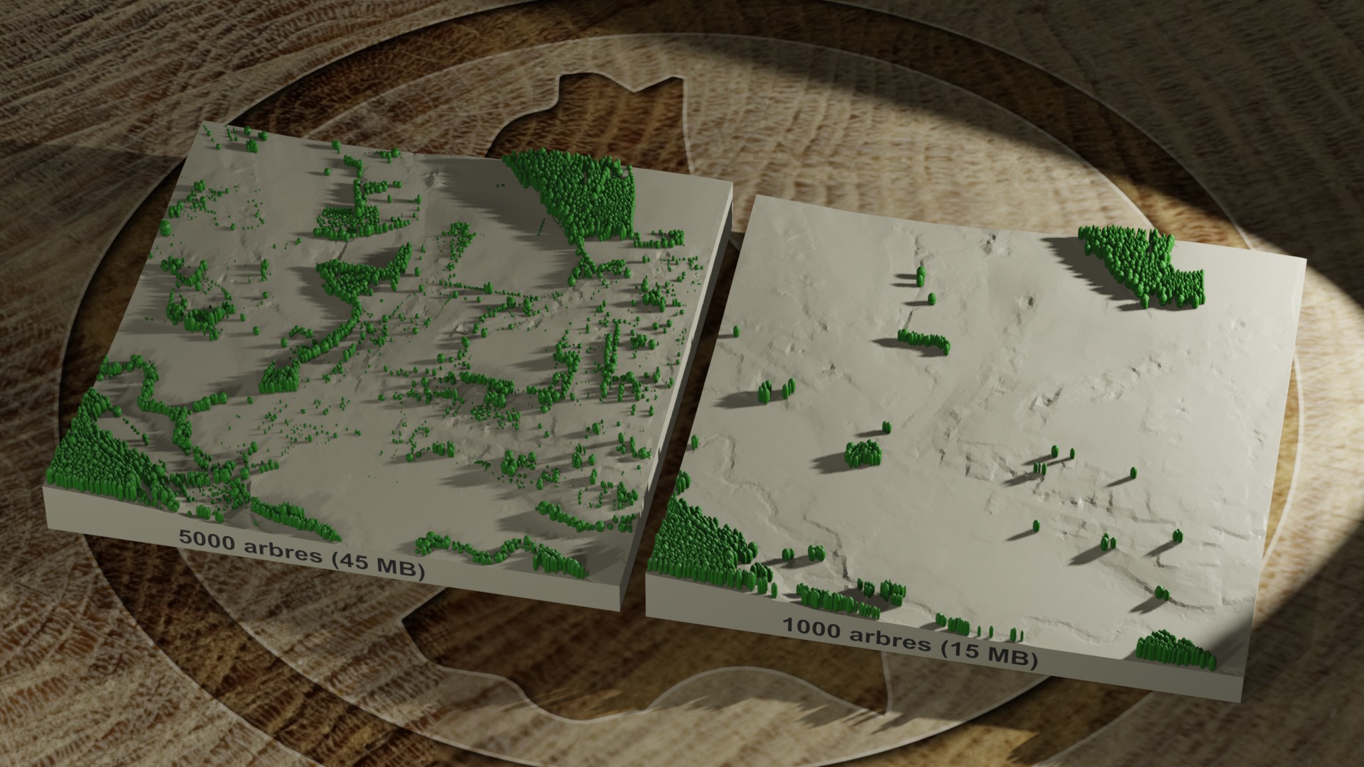 Image d'exemple introuvable